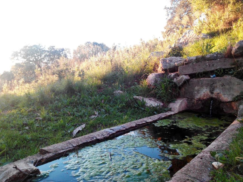Príroda v okolí of the country house