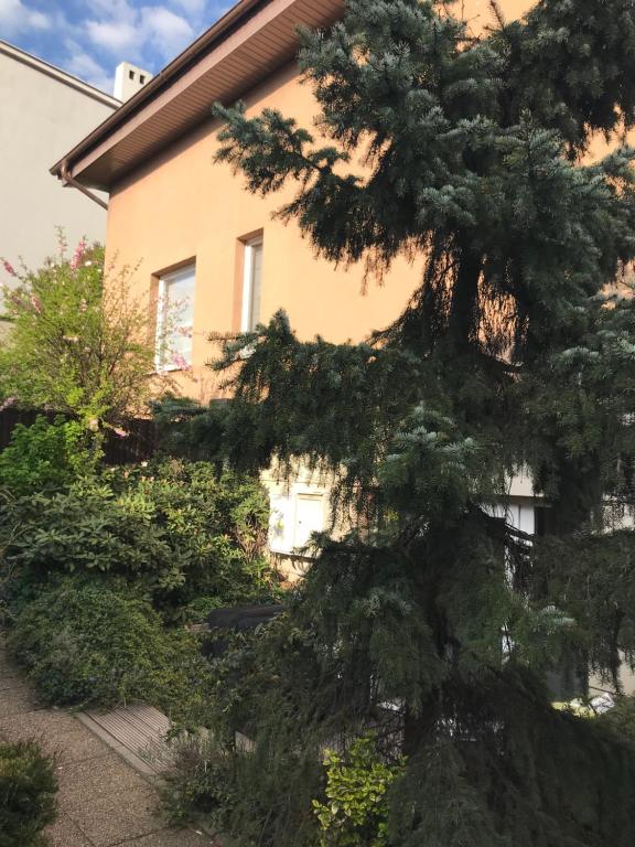 a pine tree in front of a house at Secret Garden by Arder in Gdynia