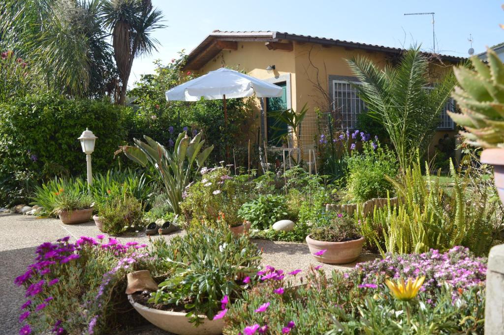 a garden with lots of plants and an umbrella at Le Cicale in Casal Palocco