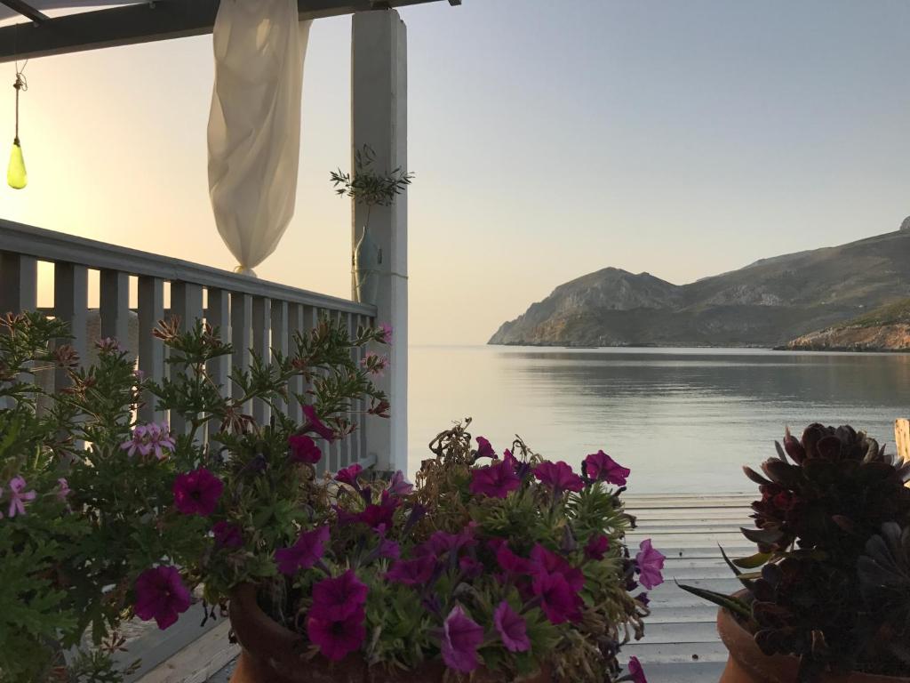 a view of the water from a porch with flowers at Τo Κamari in Skiros