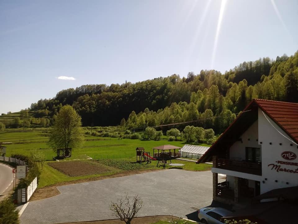 Příroda nedaleko penzionu