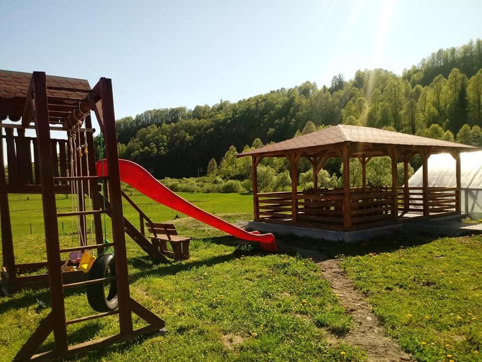 Příroda nedaleko penzionu