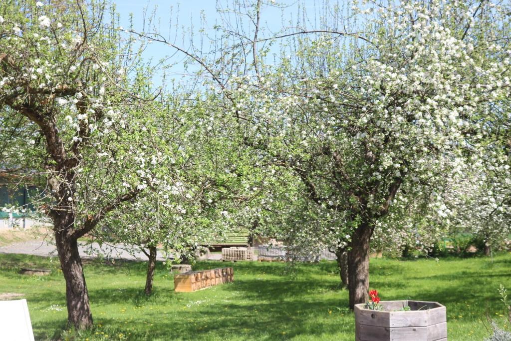 Vonkajšia záhrada v ubytovaní Biohof Schmiedbauer