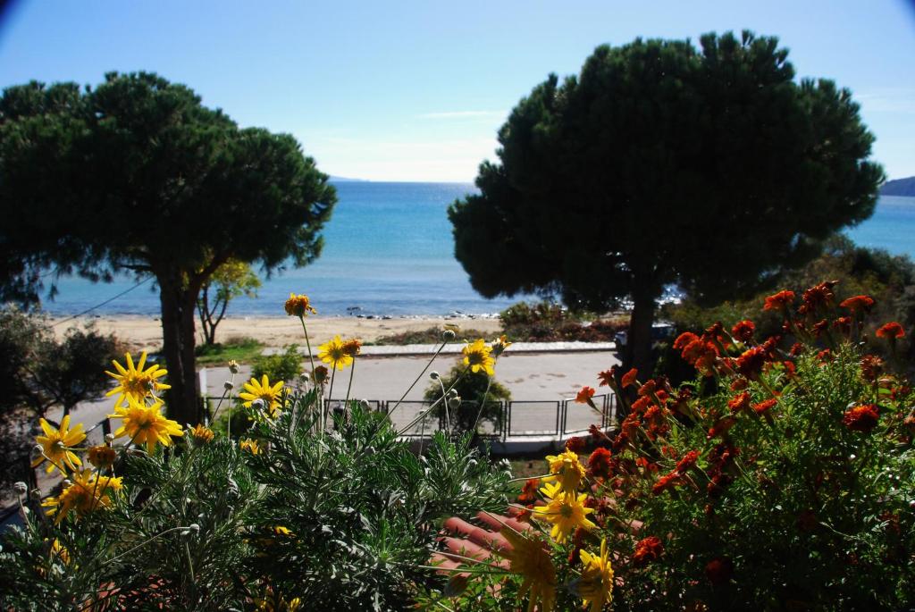 een uitzicht op het strand vanuit een tuin met bloemen bij Fat Mermaid Seaside Villa in PalaiónTsiflíkion