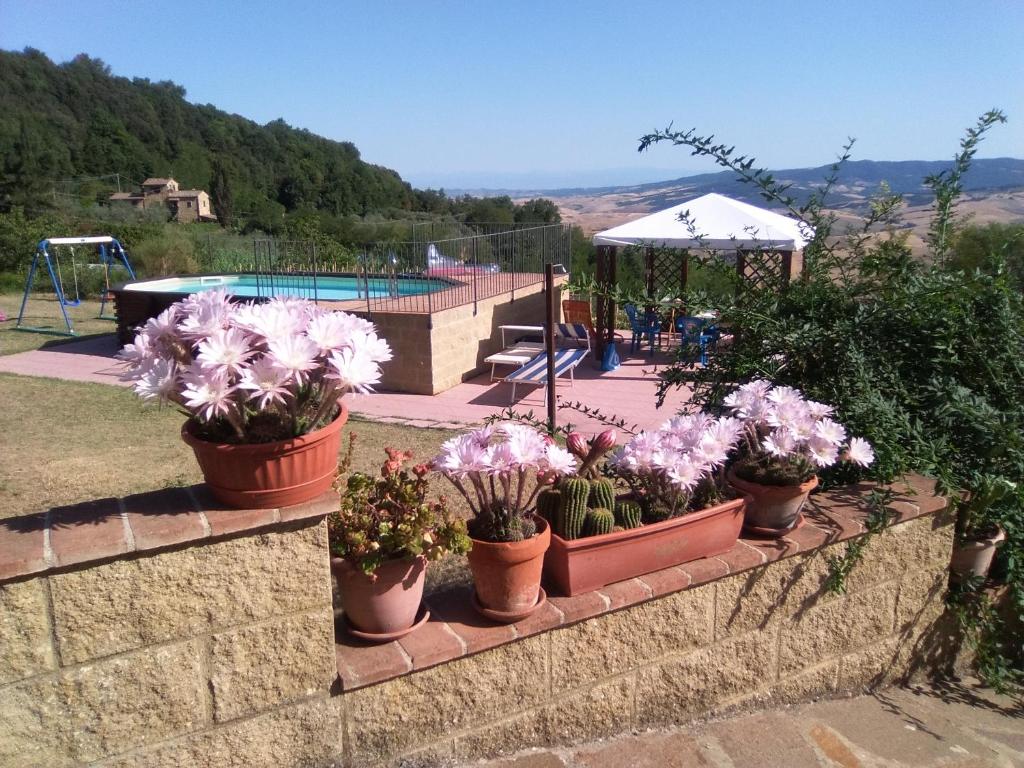 eine Reihe von Topfpflanzen an einer Wand in der Nähe eines Pools in der Unterkunft Casa Vacanze Santa Cristina in Volterra