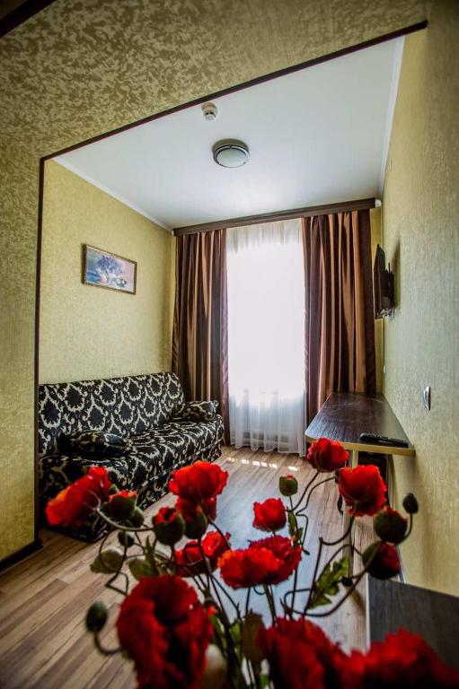 Zona d'estar a Almaz-Plus