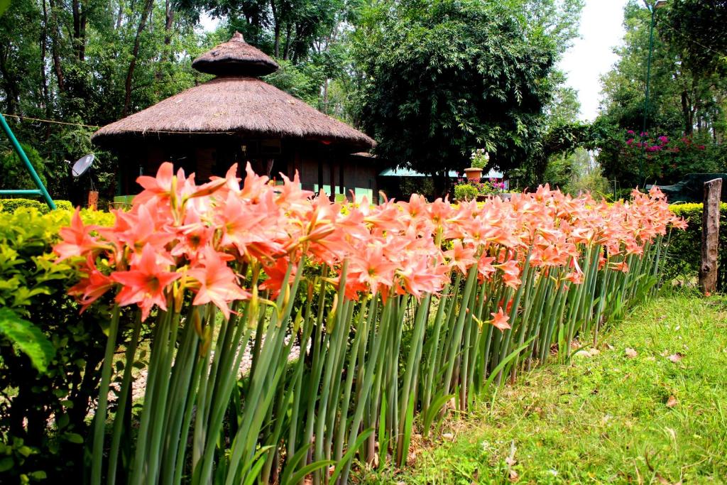 eine Blumenreihe vor einem Pavillon in der Unterkunft Shuklaphanta Jungle Cottage in Bahāsi