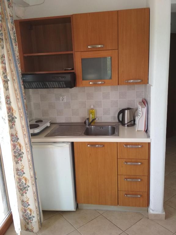 A kitchen or kitchenette at Paschalia ser view studios