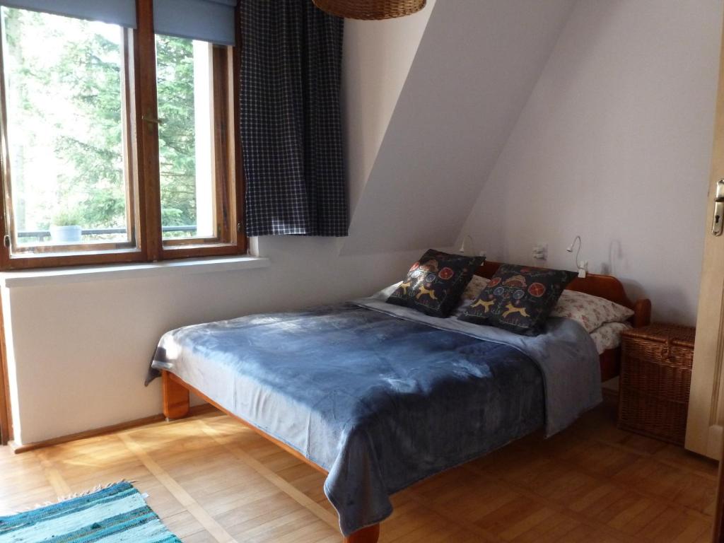 ザコパネにあるDom Pod Skoczniąのベッドルーム1室(青いシーツと窓付)