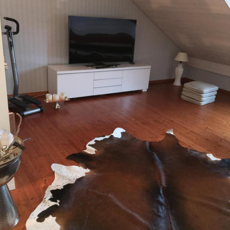 a living room with a tv and a wooden floor at Ruheges Zimmer, 100 m zum See, Strandbad in Bottighofen
