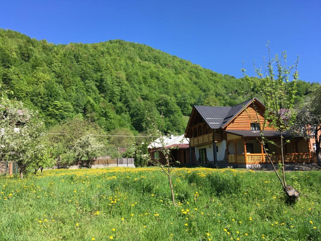 una casa en un campo junto a una montaña en Casa Nova en Vişeu de Sus