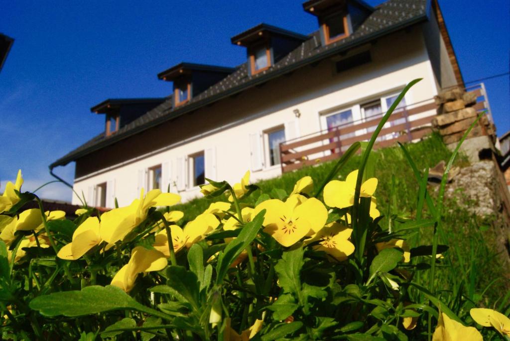 une maison avec des fleurs jaunes devant elle dans l'établissement Apartmaji Pri Kokolu, à Bled