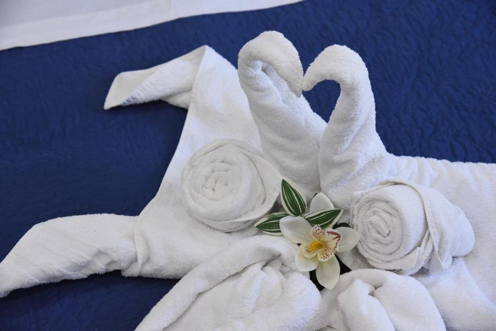 Fotografie z fotogalerie ubytování B&b VICTORIA v destinaci Porto Cesareo