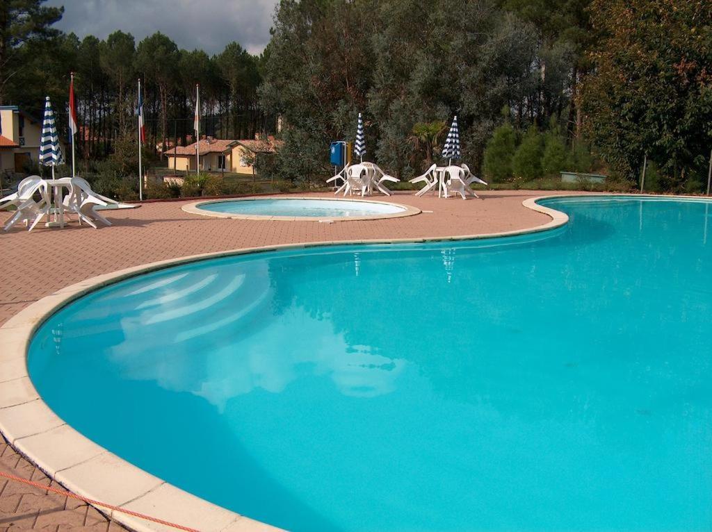 a swimming pool with three white animals standing around it at Maison ocelandes in Saint-Julien-en-Born