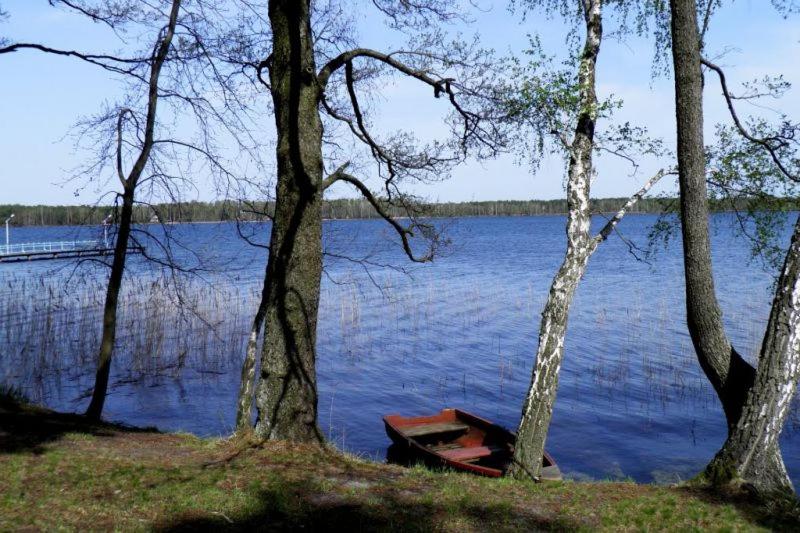MelʼnikiにあるШале Озераの水の中に座る船