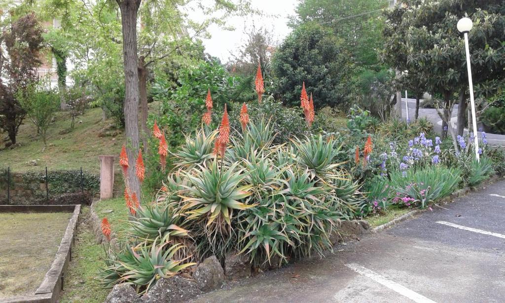 A garden outside Appartamento Lauretta