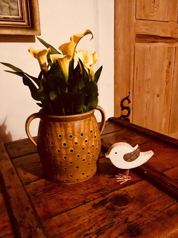 Fotografie z fotogalerie ubytování Pension Laura v destinaci Chřibská
