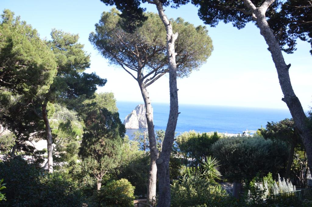 カプリにあるCentral studio 2 con terrazzaの木々からの海の景色