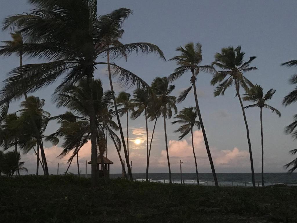  Vilage em Praia do Forte