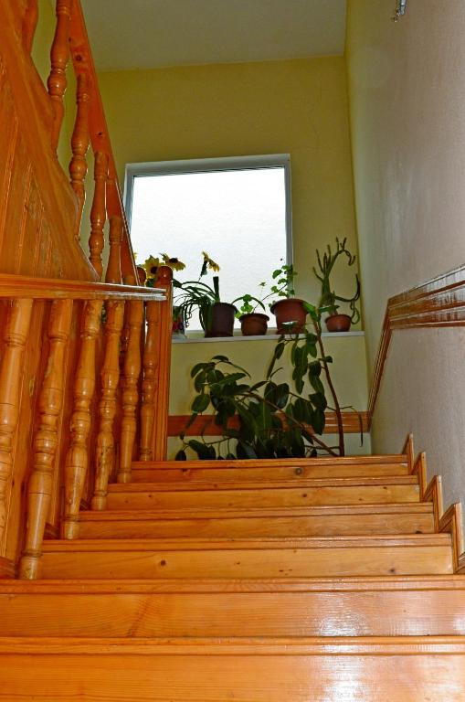 Fotografie z fotogalerie ubytování Boutique Hotel Eco-House Tbilisi v destinaci Tbilisi City