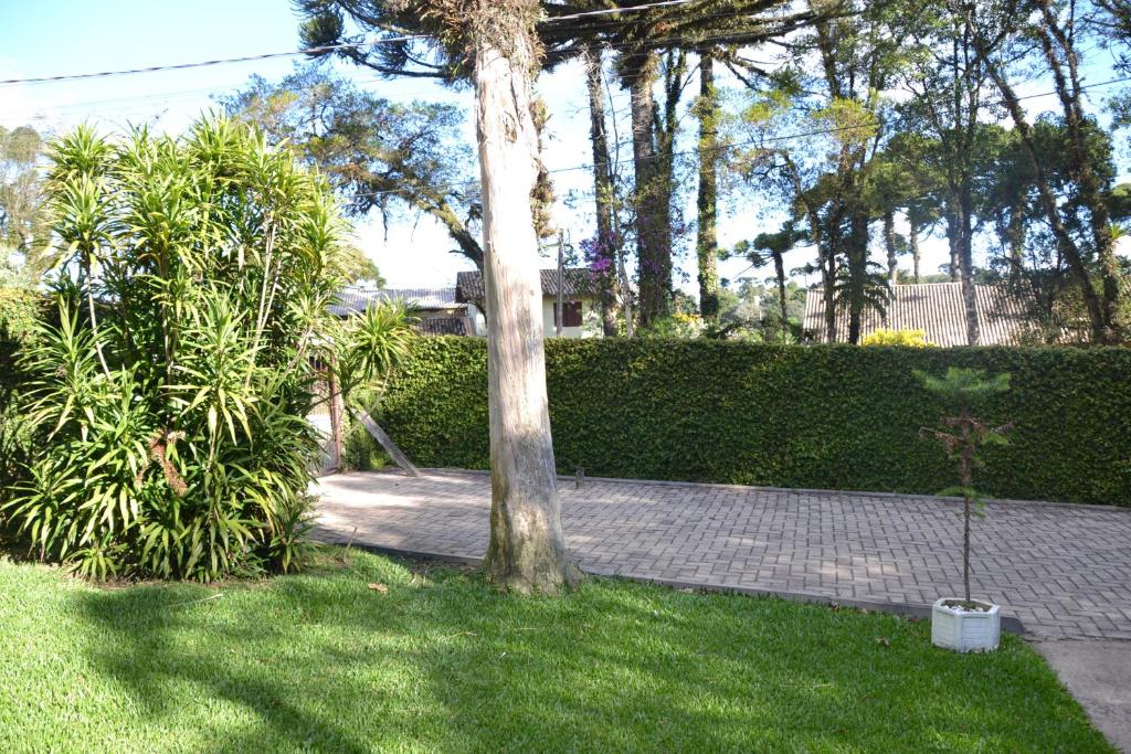  Hotel Pousada Dos Pinheiros