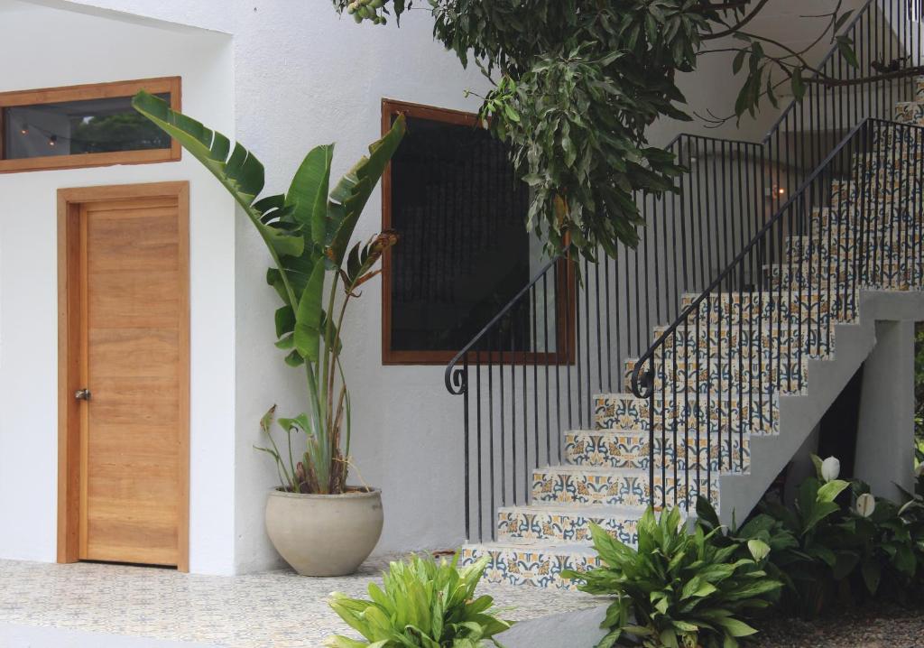 Fotografie z fotogalerie ubytování Casa del Pavo Real Boutique Hotel v destinaci Palomino