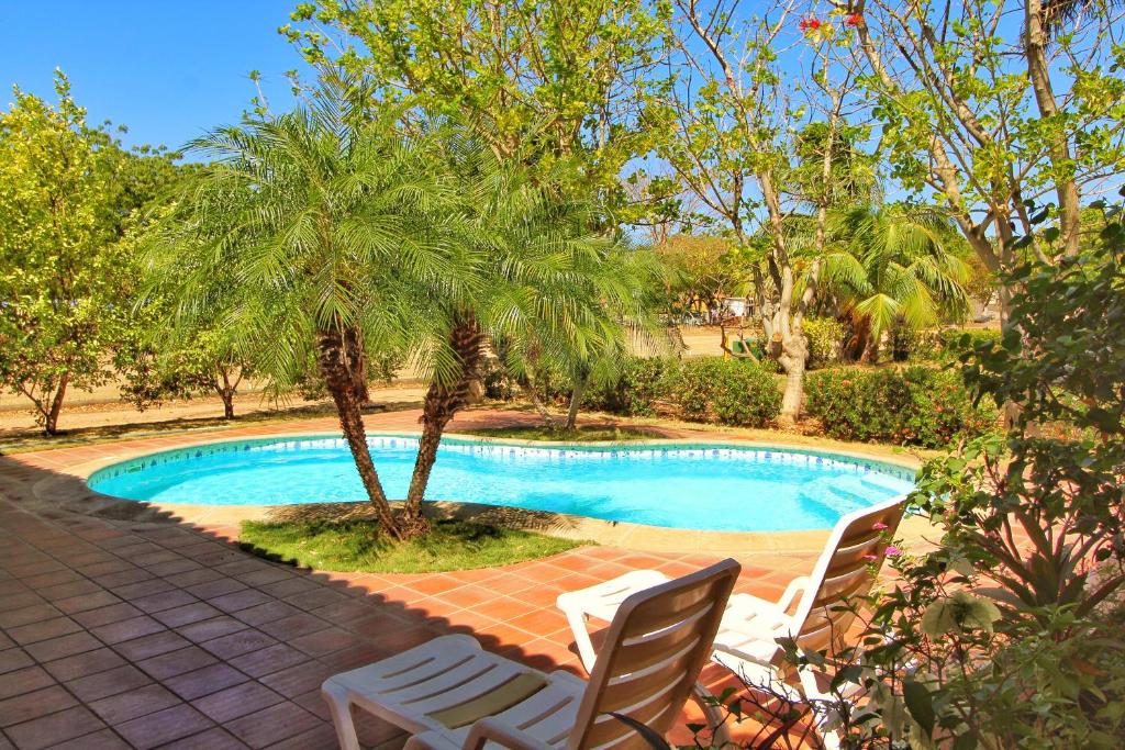 San DiegoにあるCasa Dror Gran Pacifica Resortの椅子2脚とヤシの木が置かれたプール