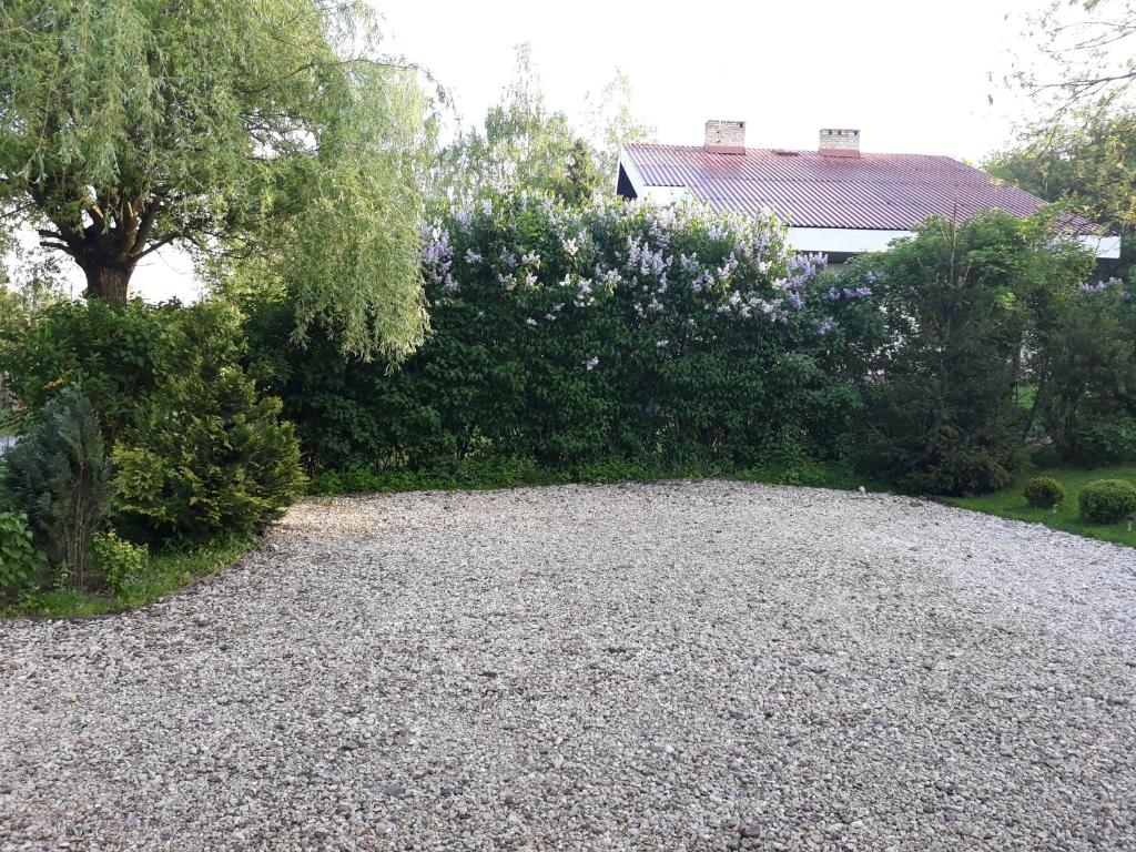 Vonkajšia záhrada v ubytovaní Studio