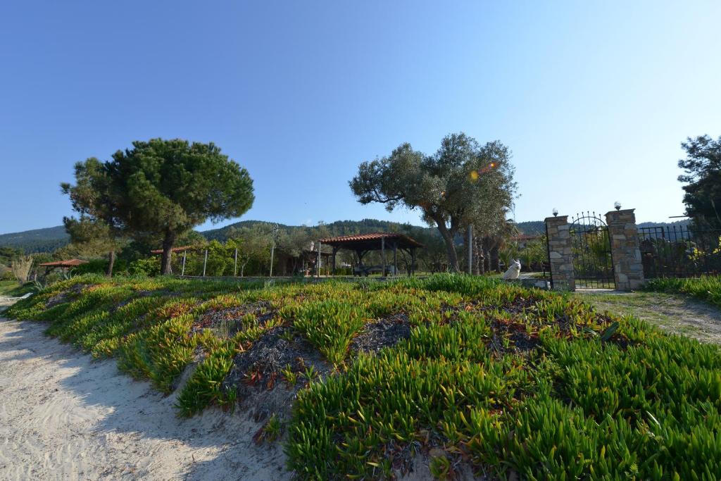 a field of grass next to a dirt road at Haus Katerina in Vourvourou