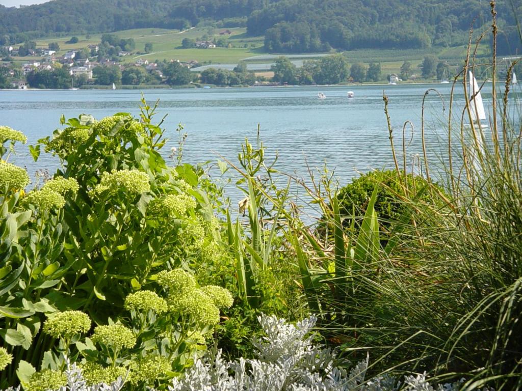 Paesaggio naturale nelle vicinanze dell'hotel