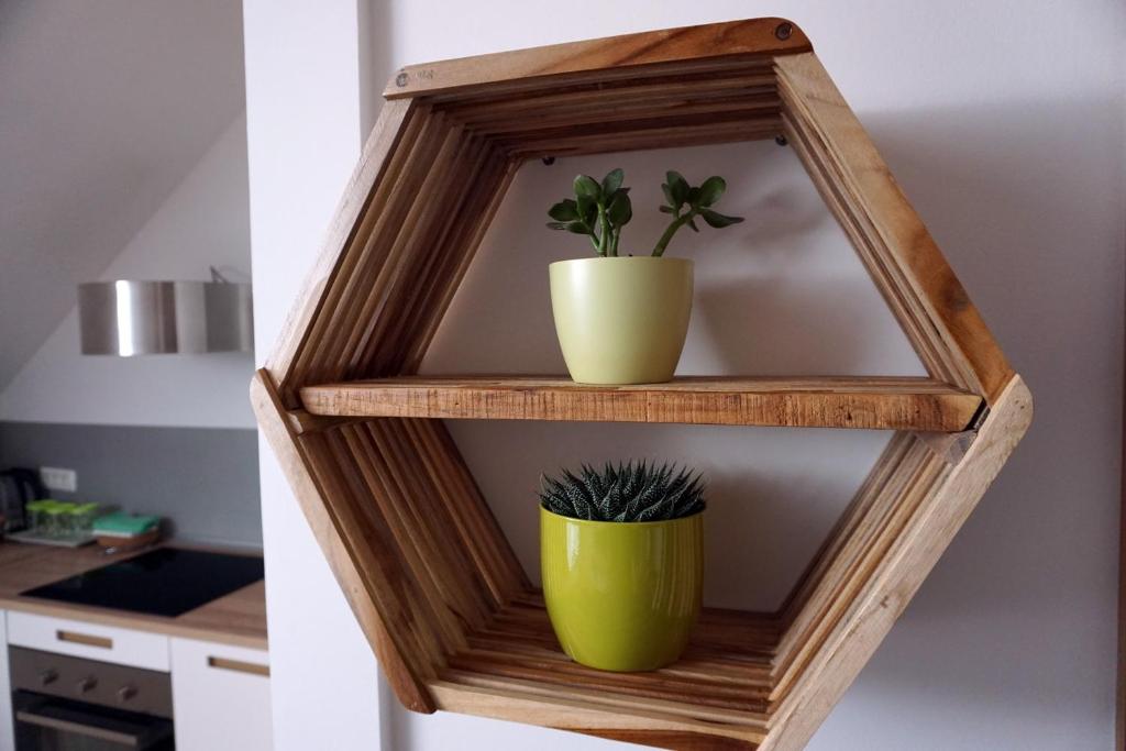 Kuchyň nebo kuchyňský kout v ubytování Krona Apartments