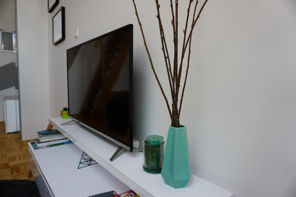TV a/nebo společenská místnost v ubytování Krona Apartments