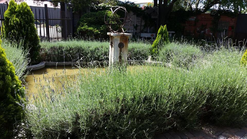 a fire hydrant in the middle of a field of tall grass at The Yardt Guest House in Trichardt