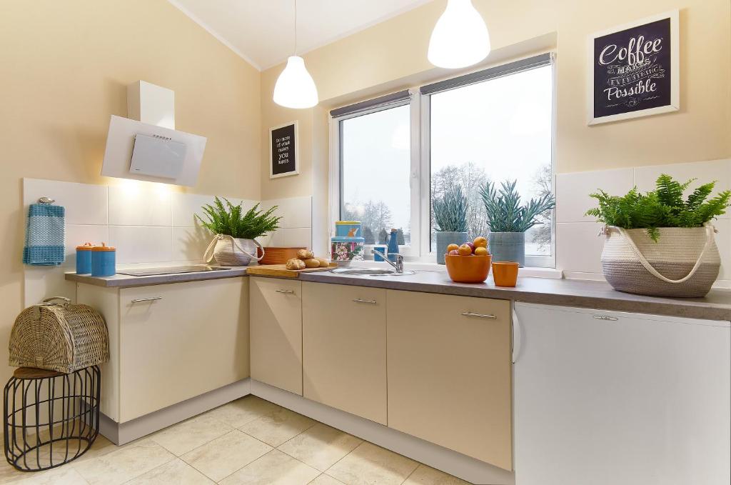 Kuchyňa alebo kuchynka v ubytovaní Arenda Apartamenty&Domki całoroczne