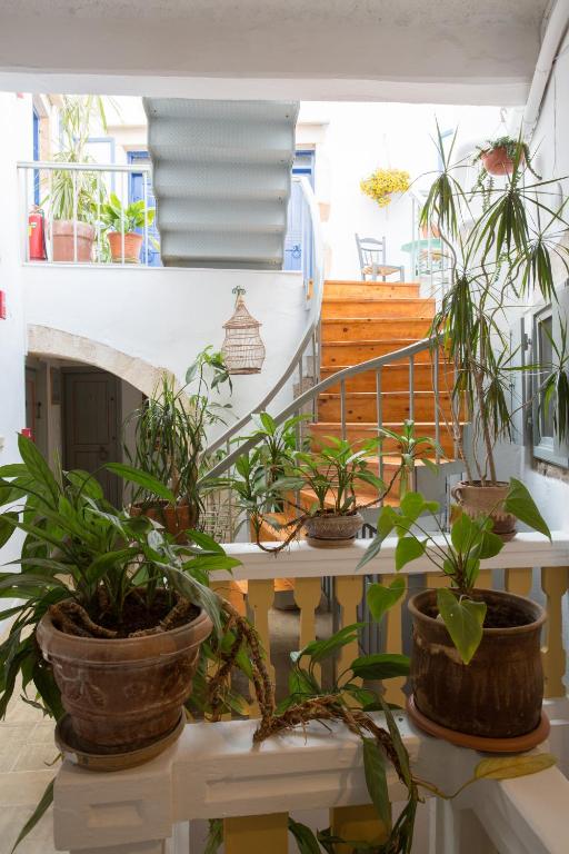 Fotografie z fotogalerie ubytování Nostos Hotel ve městě Chania