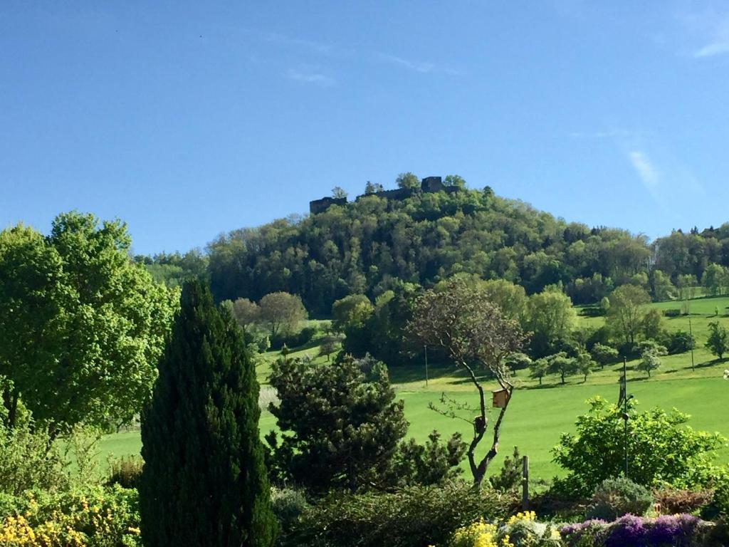 a hill with trees on top of a green field at Hegau-Lounge-Bodensee in Mühlhausen-Ehingen