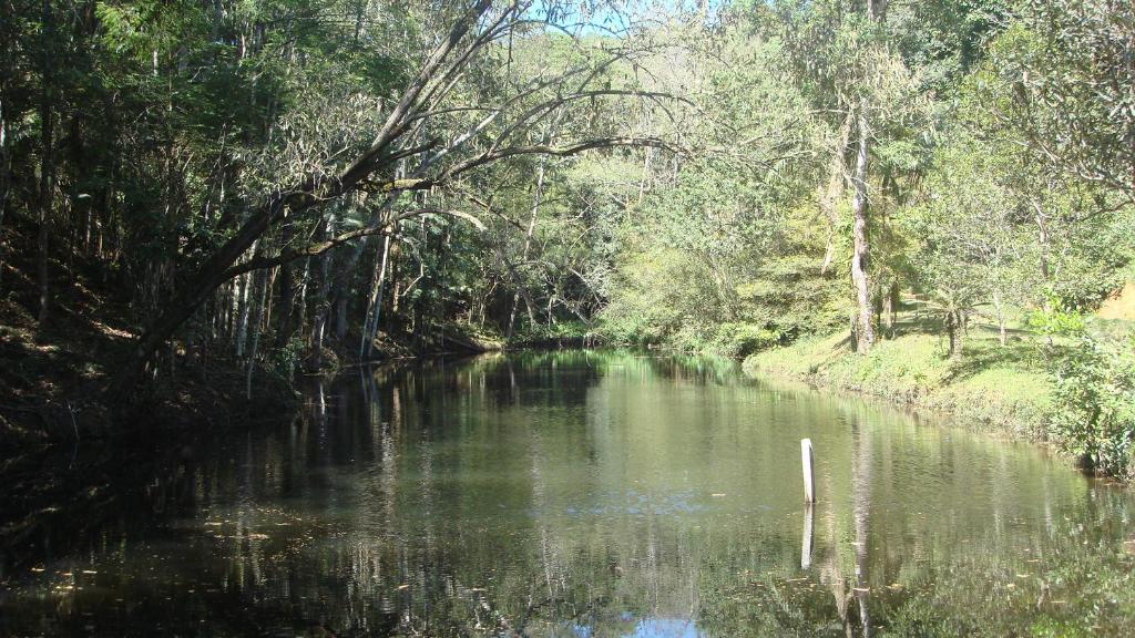  Sitio Camundongo