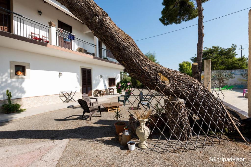 Ein Baum, der sich über einen Zaun neben einem Gebäude lehnt in der Unterkunft B&B Villa Pia in Syrakus