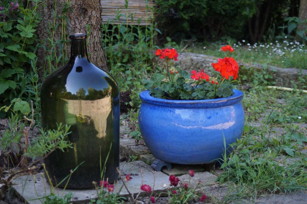 a bottle of wine next to a pot of flowers at Ferienwohnung TOSCANA in Dresden