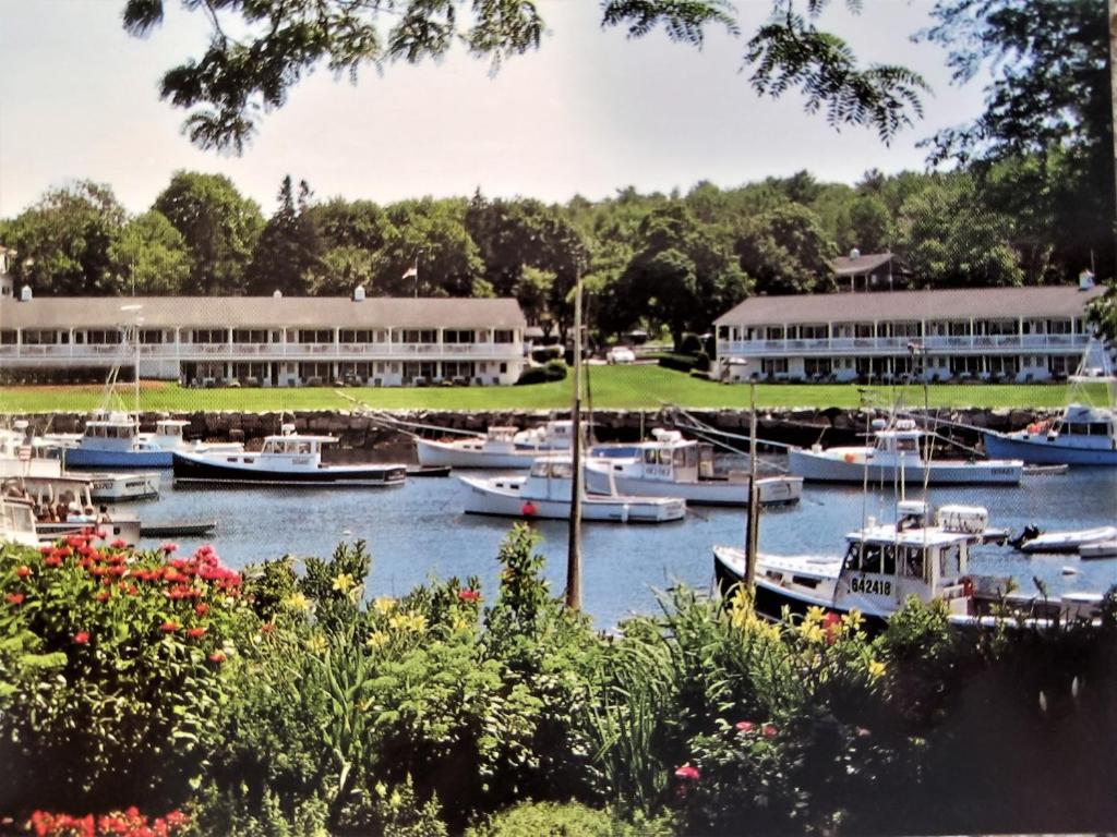 een groep boten is aangemeerd in een jachthaven bij Auberge on the Cove in Ogunquit