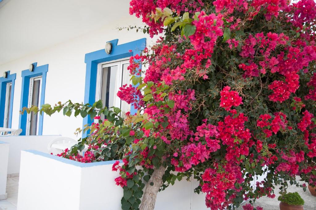Gallery image of Matina Studios in Kefalos