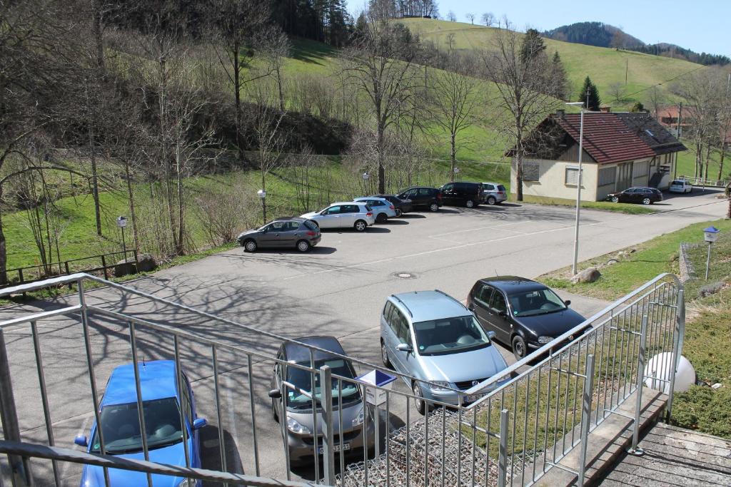 Příroda nedaleko hotelu