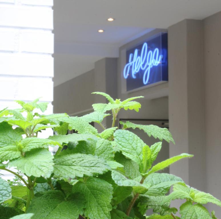 Certifikát, hodnocení, plakát nebo jiný dokument vystavený v ubytování Hotel Helga