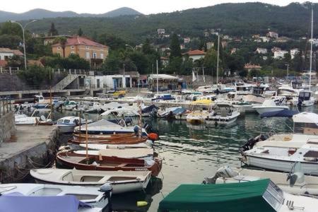 Príroda v okolí apartmánu