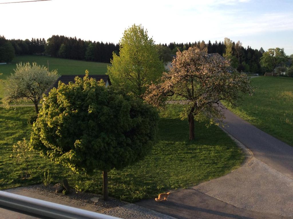 Zahrada ubytování Ferienbauernhof Koller (Familie Hofer) - Urlaub am Bauernhof