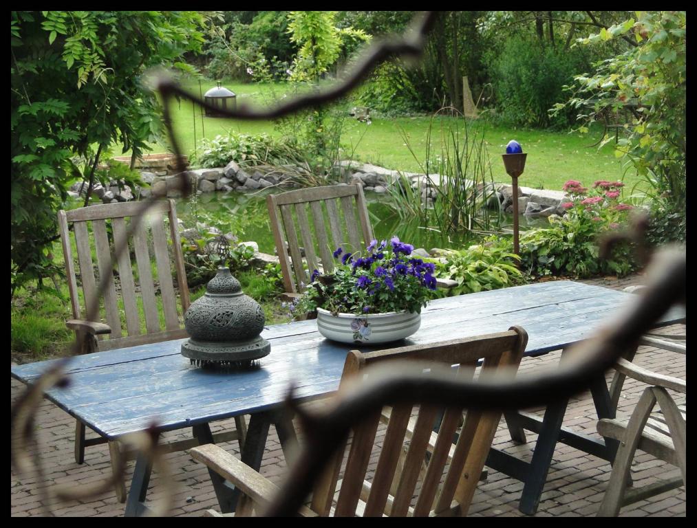 Een tuin van B&B De Lotus