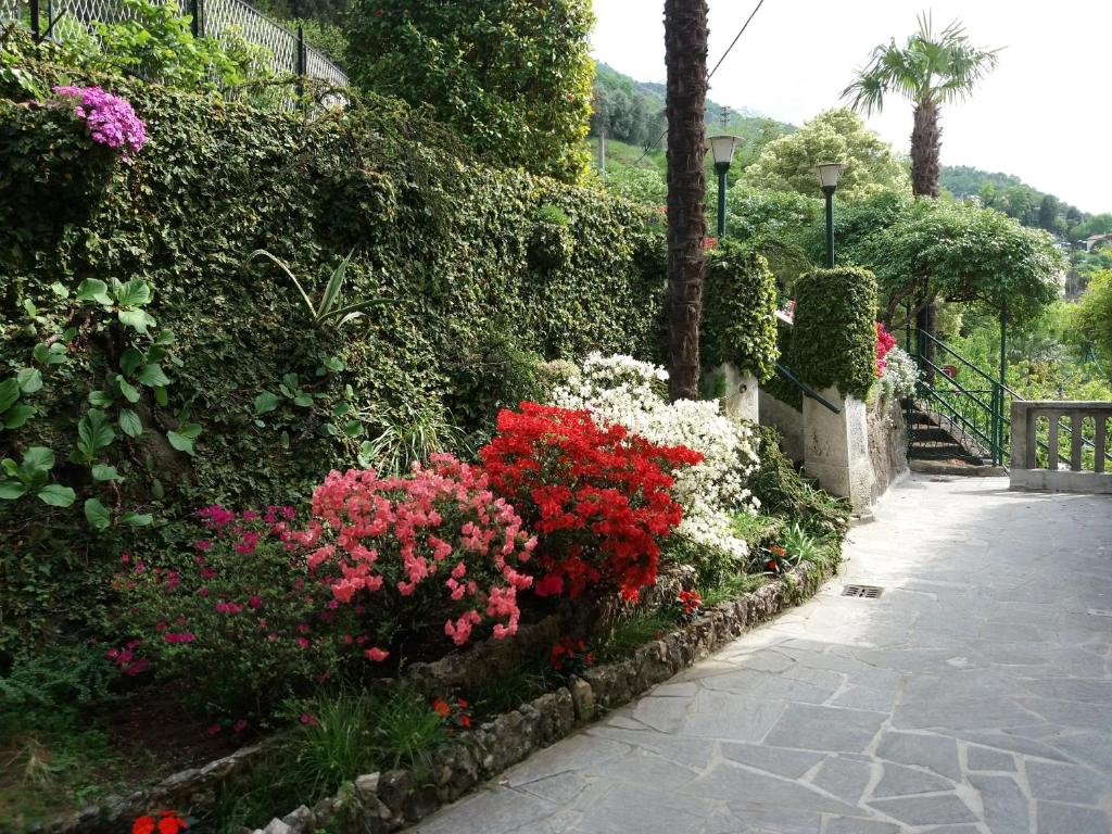 Zahrada ubytování Villa Plinio Lago di Como