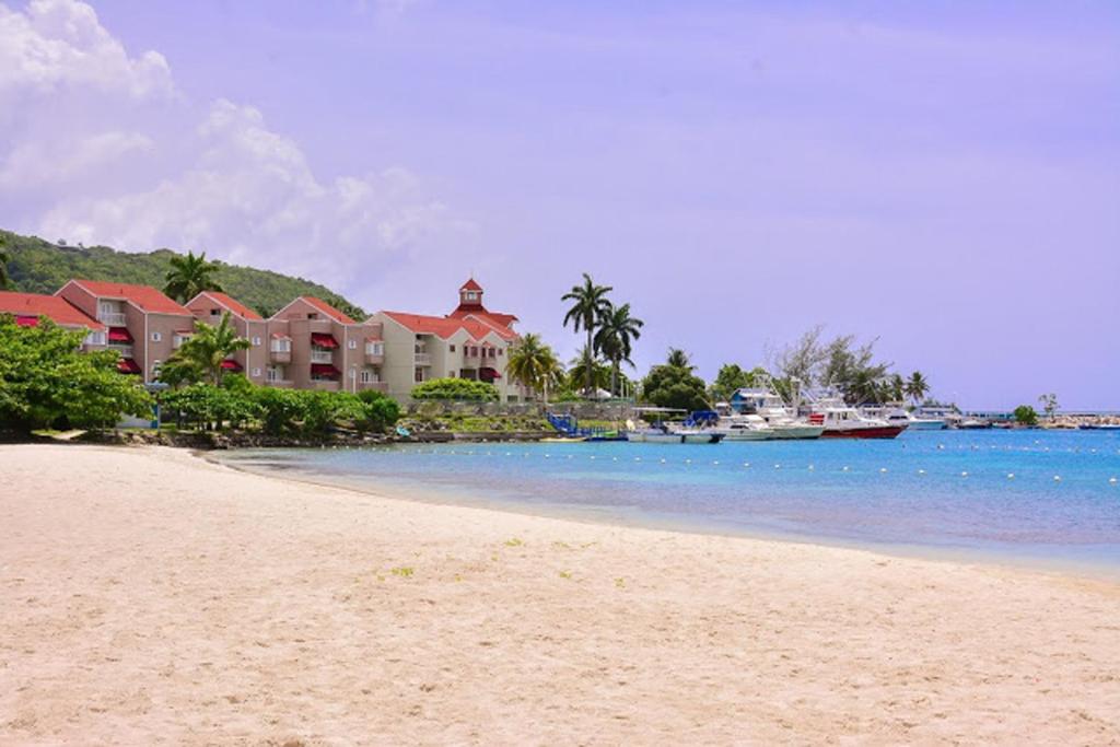 オーチョ・リオスにあるConch Shell Beach Studio @ Sandcastlesの家と水のあるビーチの景色