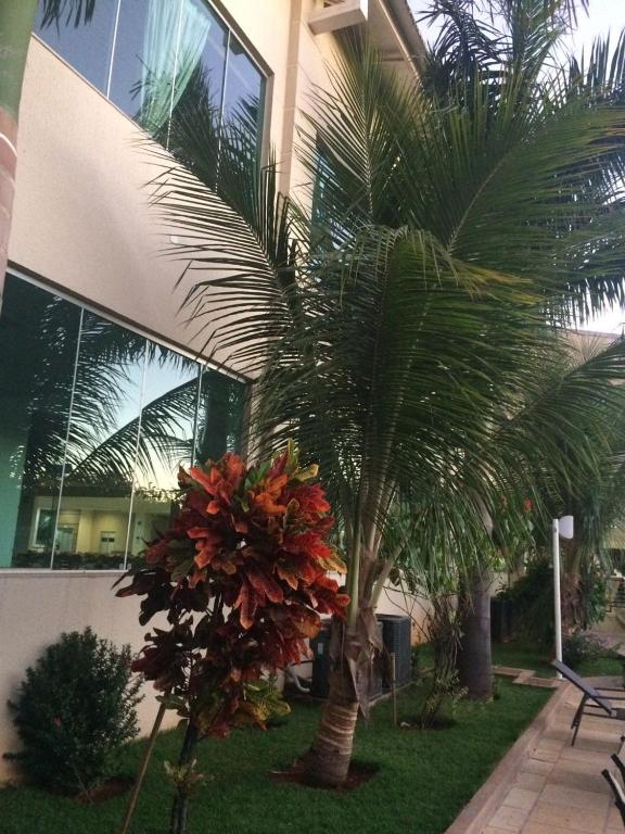  Flat No Lacqua Di Roma