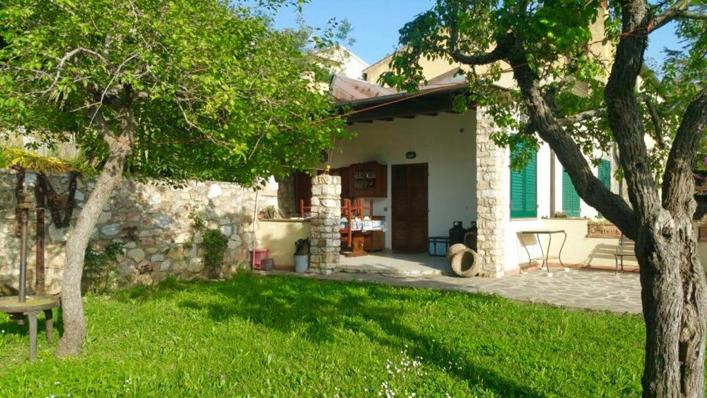 una casa con un patio con un árbol en ELBA Casa Mare Natura, en Magazzini